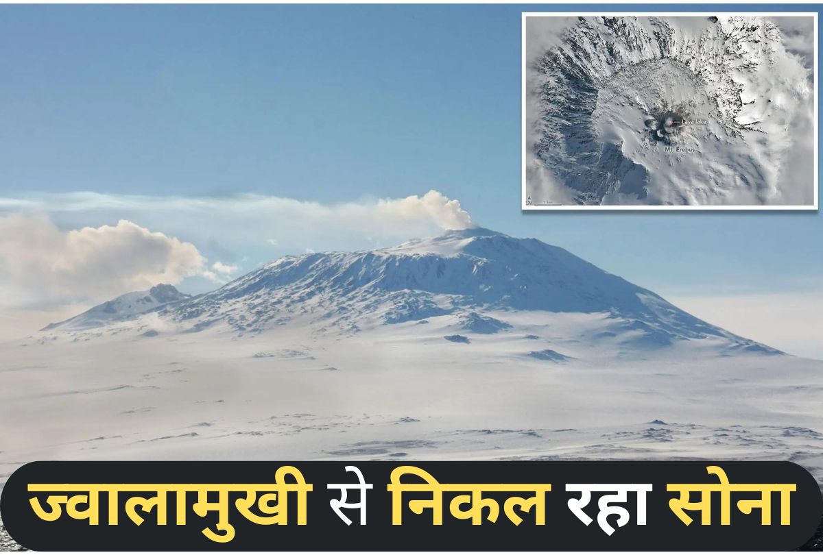 अंटार्कटिका का ज्वालामुखी लावा नहीं..उगल रहा है सोना, रोजाना निकल रहा 5 लाख रुपए
का गोल्ड डस्ट  - image