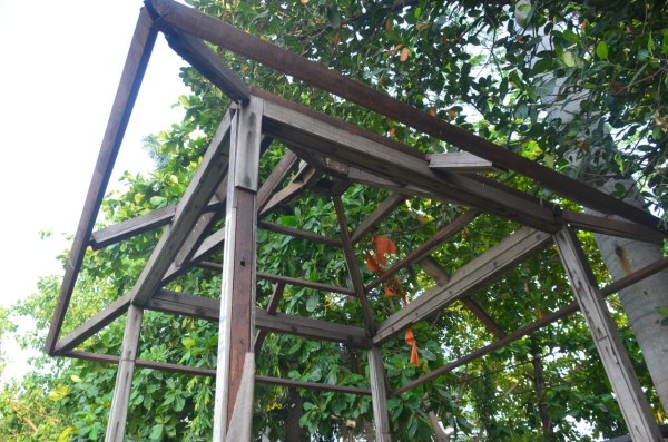 लकड़ी का शेड पूरी तरह गायब है।