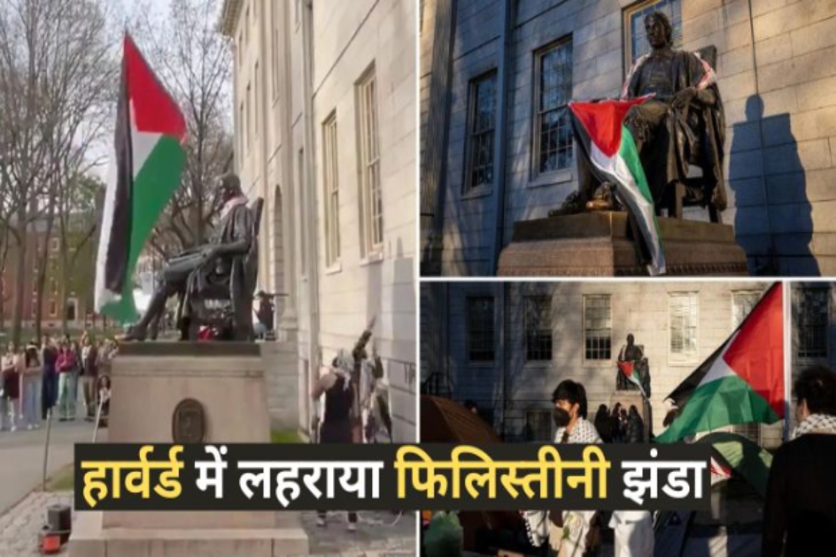 Protest in US Universities: हार्वर्ड यूनिवर्सिटी में अमरीका की जगह लहराया
फिलिस्तीनी झंडा, चरम पर पहुंचा आंदोलन