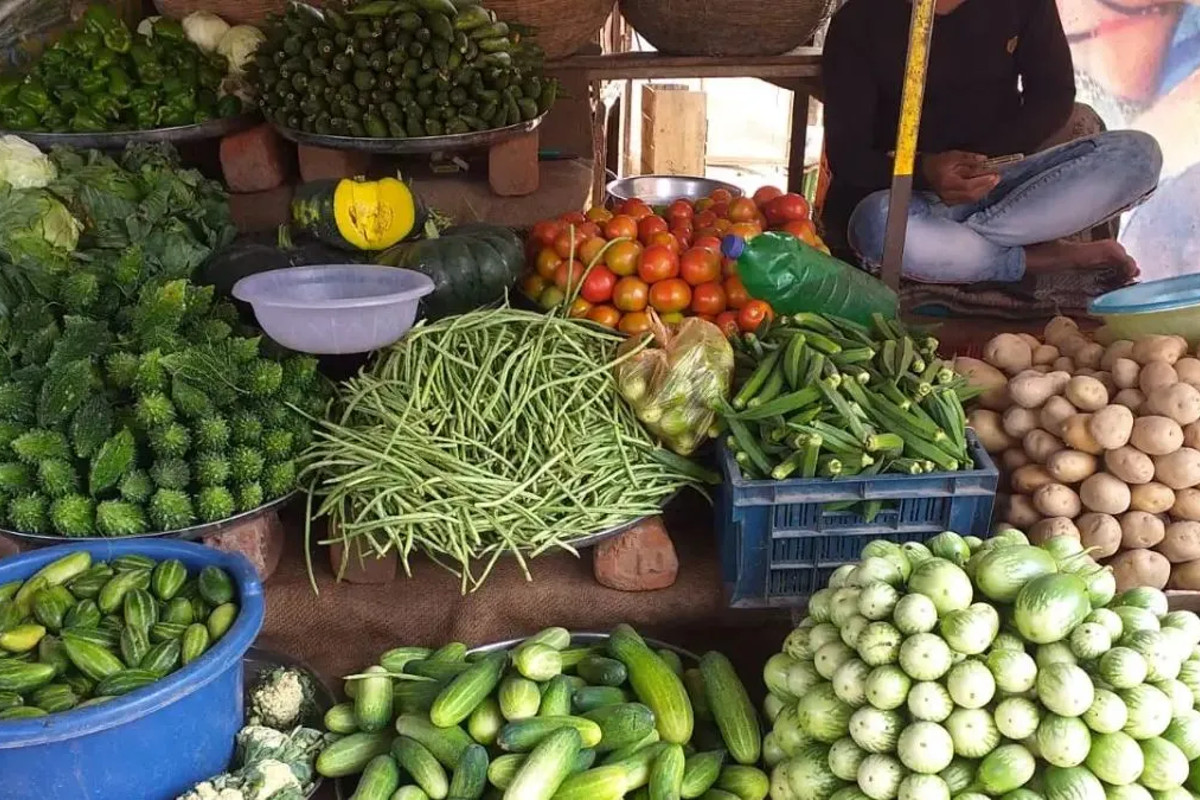 Vegtable Price Today: सब्जियों के भाव बढ़ने से बिगड़ा घर का बजट, आलू भी हुआ
महंगा, जानिए भाव - image