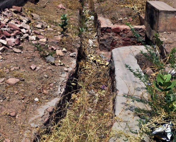 Rico industrial area is a victim of neglect, drains filled with garbage, overgrown bushes