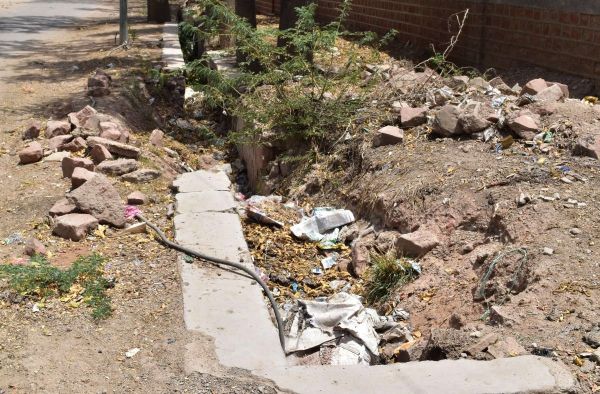 Rico industrial area is a victim of neglect, drains filled with garbage, overgrown bushes