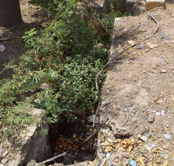 Rico industrial area is a victim of neglect, drains filled with garbage, overgrown bushes