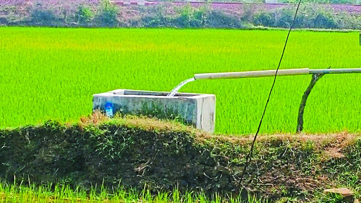 Balod News : भूजल का स्तर 8 फीट नीचे गिरा, बोर खनन और गर्मी में धान की खेती
ज्यादा जिम्मेदार