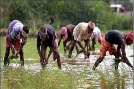 CG Farmers