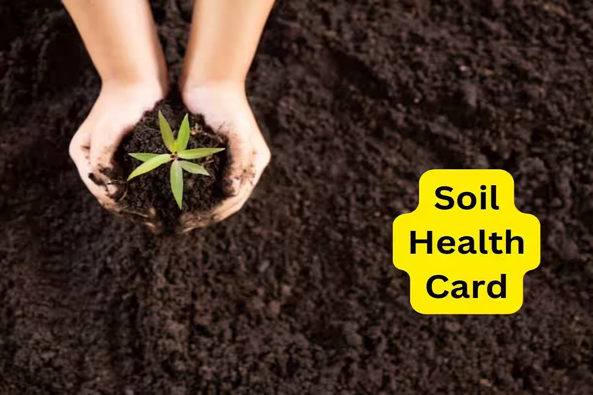 Soil Health Card Yojana 2024: बड़ी खुशखबरी! आठ हजार किसानों को मिलेगा सॉयल हेल्थ
कार्ड, इन चीजों का उठा सकेंगे लाभ
