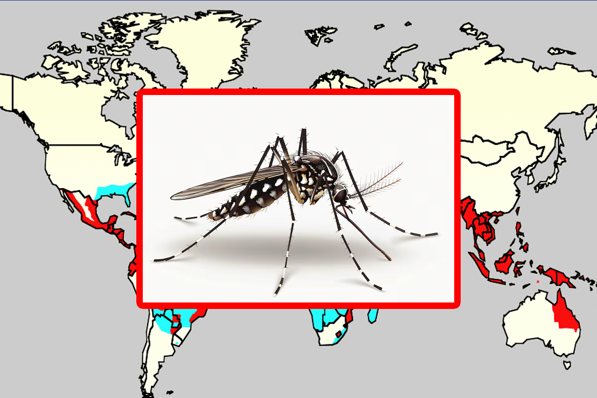हिंद महासागर का पानी करेगा डेंगू की भविष्यवाणी, नौ महीने पहले मिलेगा संकेत - image