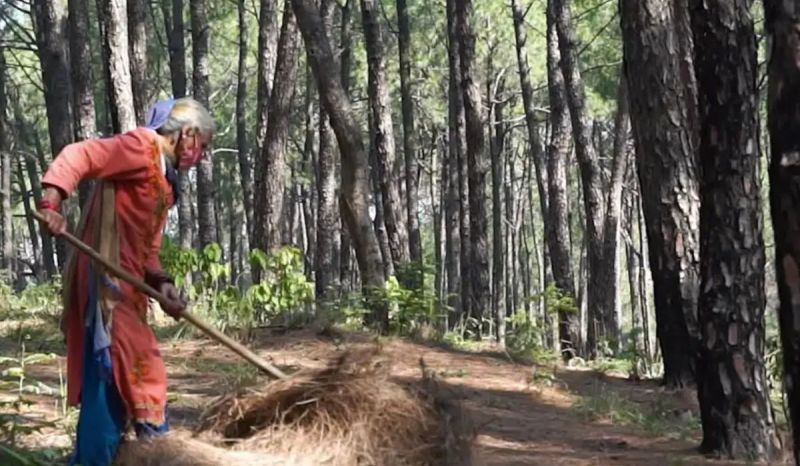 Dhami Government Decision in Uttarakhand