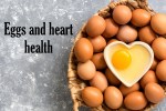 अंडे और दिल की सेहत: क्या सचमुच अंडे खाने से नुकसान होता है? सच आया सामने - image