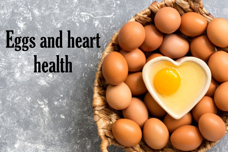 Eggs and heart health