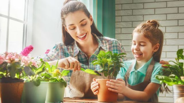 Teach Planting To Kids 