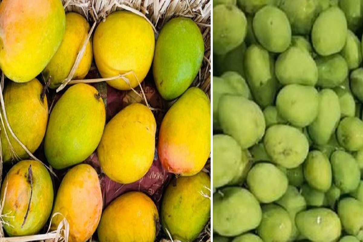 Rajasthan Kota People are Eating 50 Tonnes of Badam Daily Mango Worth Around Rs 22 lakh are Consumed Daily