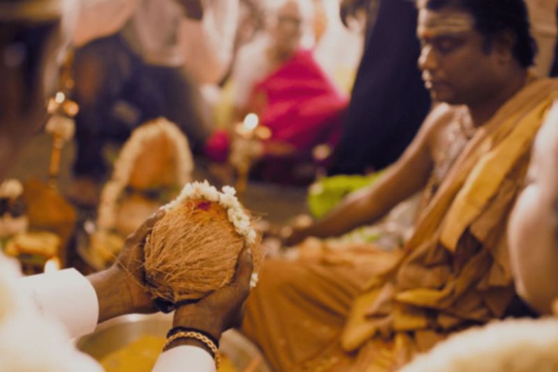 Marriage of two trees (Banyan and Peepal) made headlines in Rajasthan