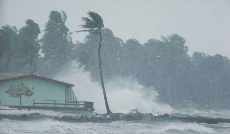 Monsoon: किसानों के लिए खुशखबरी, मॉनसून की रफ्तार बढ़ी, यूपी में झमाझम बारिश के साथ इस दिन होगी एंट्री