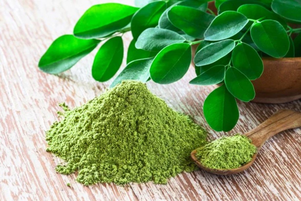 Moringa powder benefits