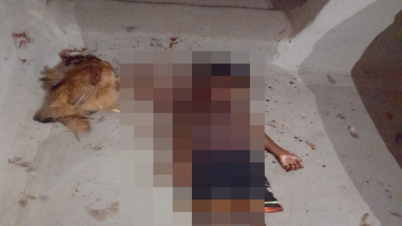 Father sacrifice son