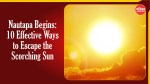 नौतपा आज से शुरू: तीखी धूप से बचने के ये हैं 10 कारगर उपाय - image