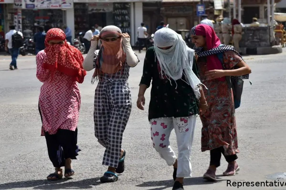 Rajasthan Weather Update, Maximum temperature in Phalodi is 50 degrees, know what is the condition of other cities of the state