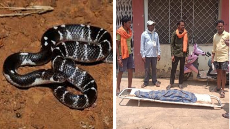 Innocent girl child dead body