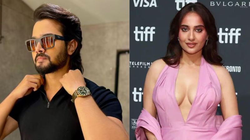 Social Media Influencer Educational Background