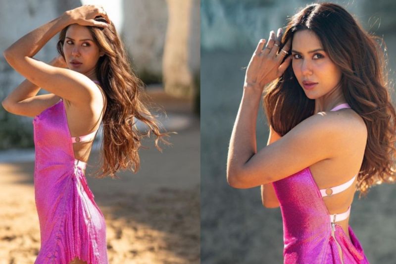 Punjabi Actress Sonam Bajwa Bathroom Video Viral on social media