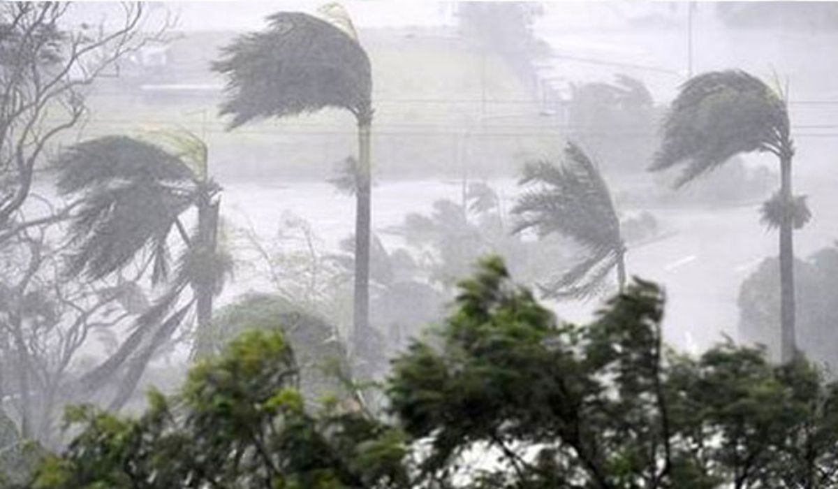 South West Monsoon: दक्षिण-पश्चिम मॉनसून ने पकड़ी रफ्तार, जानें बारिश को लेकर
मौसम विभाग की ताजा भविष्यवाणी