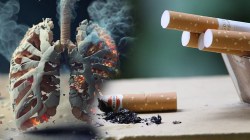 Tobacco Free Rajasthan: राजस्थान में तंबाकू सेवन में 30 प्रतिशत कमी का लक्ष्य,
जयपुर से हुई शुरुआत - image
