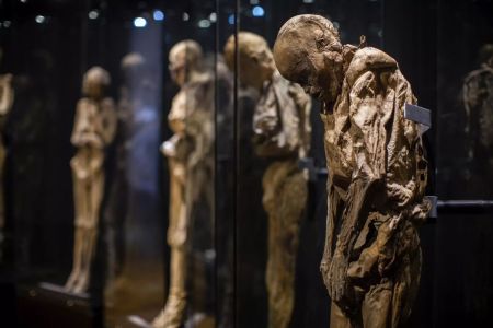 Hand of mummy kept in museum in Mexico cut off