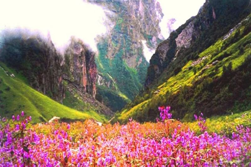 world heritage Valley of Flowers Uttarakhand