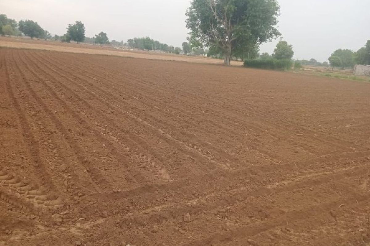 राजस्थान में किसानों की बढ़ी चिंता, बिजली के बाद गहराया ये नया संकट