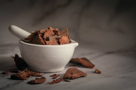 arjuna bark water benefits