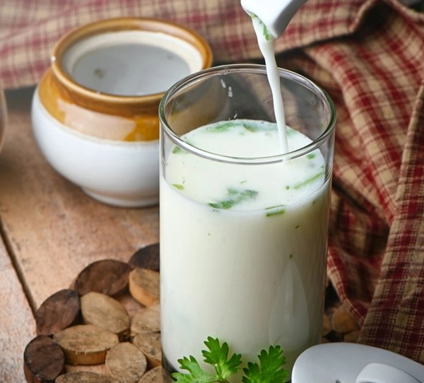Curd or buttermilk: what is more beneficial for health?