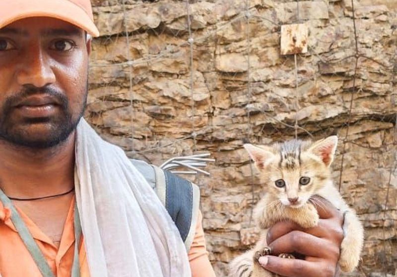 भीमलत के जंगल में मिली दुनियां की सबसे छोटी बिल्ली