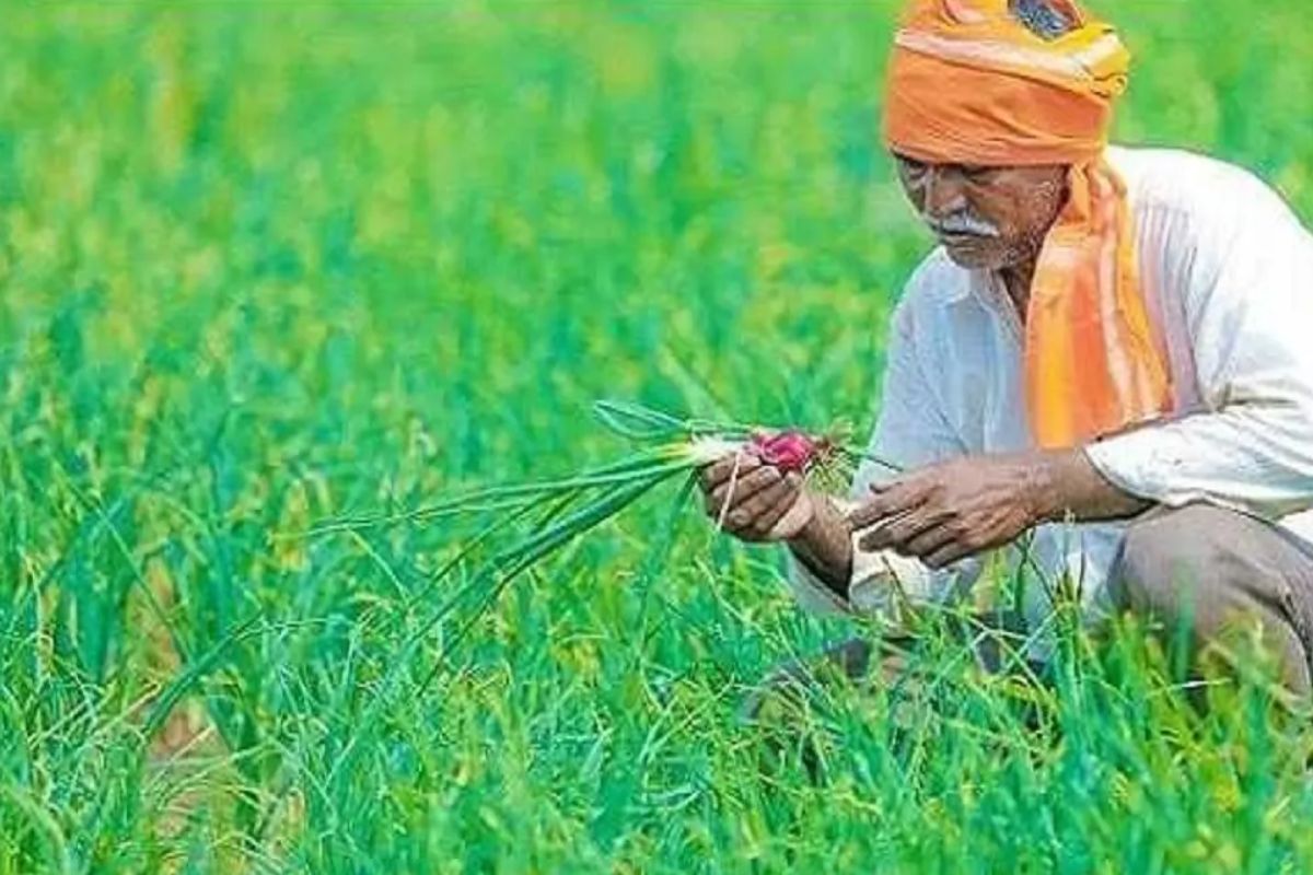 Rajasthan: किसानों को मानसून का इंतजार, इस जिले में फलों की बम्पर पैदावार होने
की संभावना
