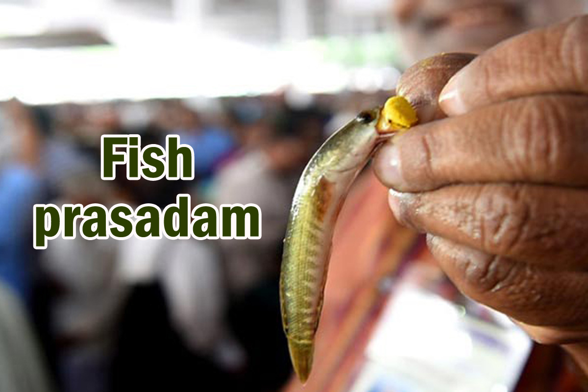 अस्थमा का अचूक इलाज!178 साल पुरानी परंपरा का चमत्कार, हैदराबाद में 8-9 जून को
निःशुल्क “Fish Prasadam”