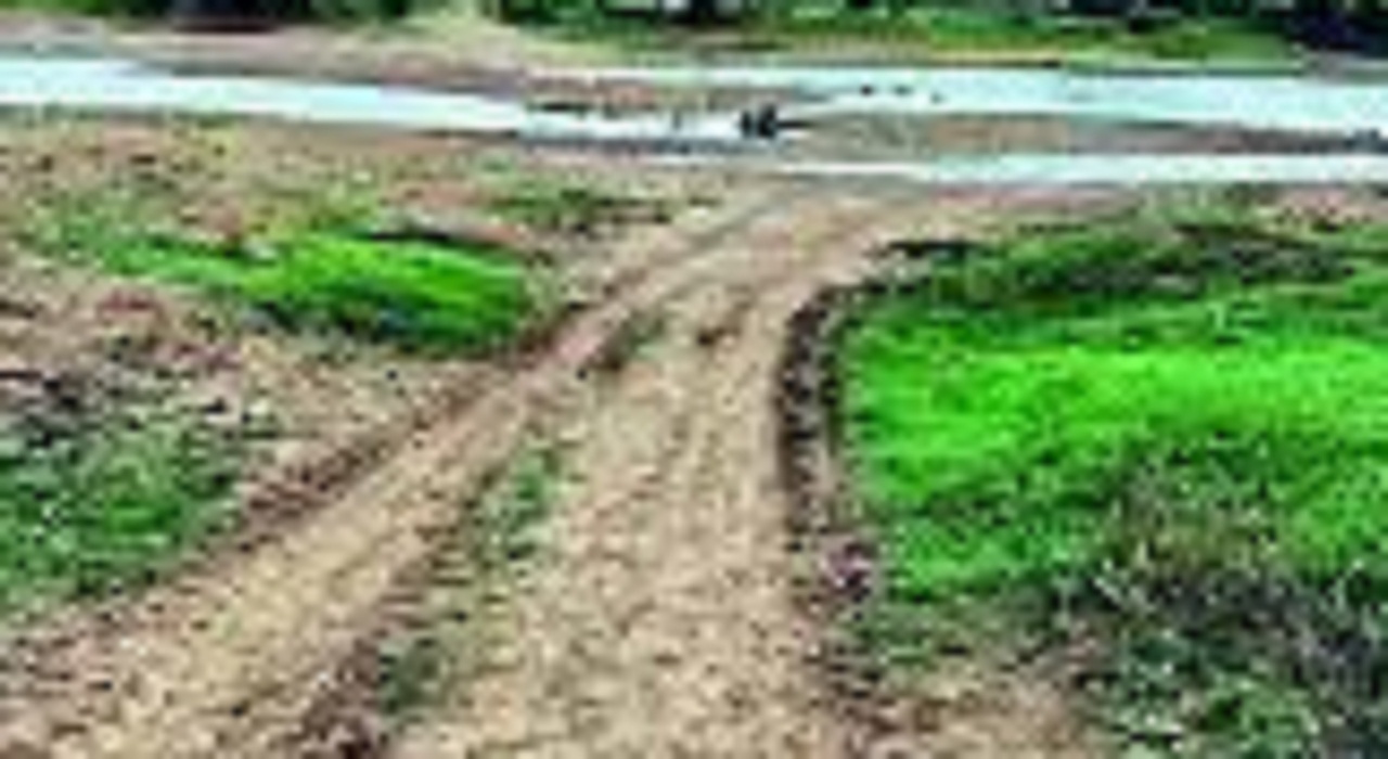 कर्नाटक के हावेरी जिले के 325 गांवों में पेयजल किल्लत, निजी बोरवेल से हो रही
जलापूर्ति, किसान पशु बेचने को मजबूर