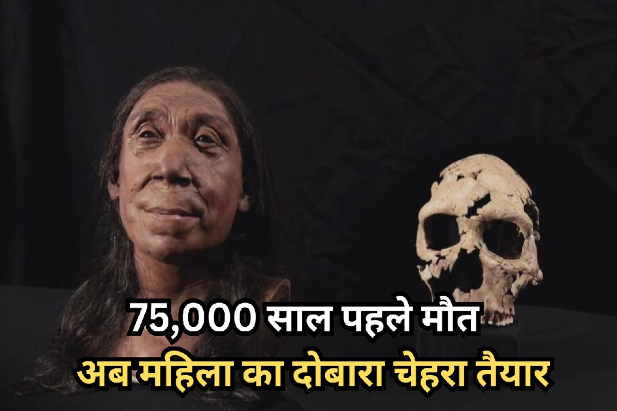 75000 साल पहले हुई महिला की मौत, अब कंकाल से दोबारा बनाया चेहरा, देखकर रह जाएंगे
भौंचक्के - image