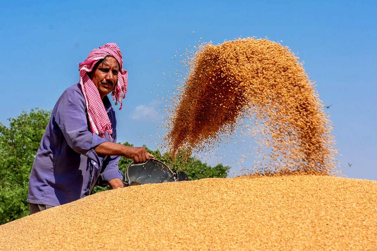 Wheat Purchased Date Extend