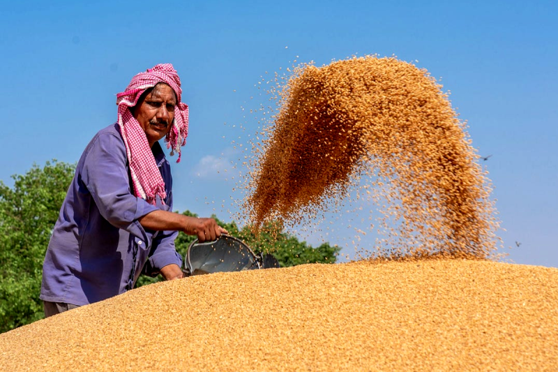 Wheat Purchased Date Extend