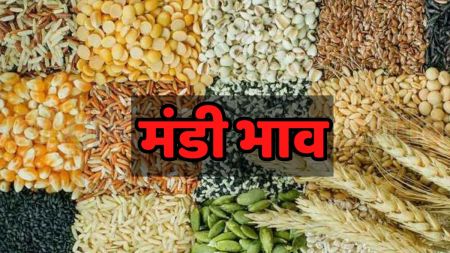 mandi bhav