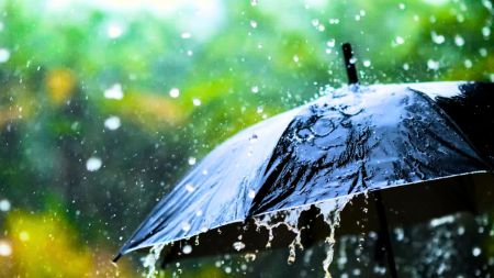 monsoon update