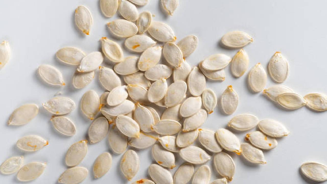 muskmelon seeds benefits