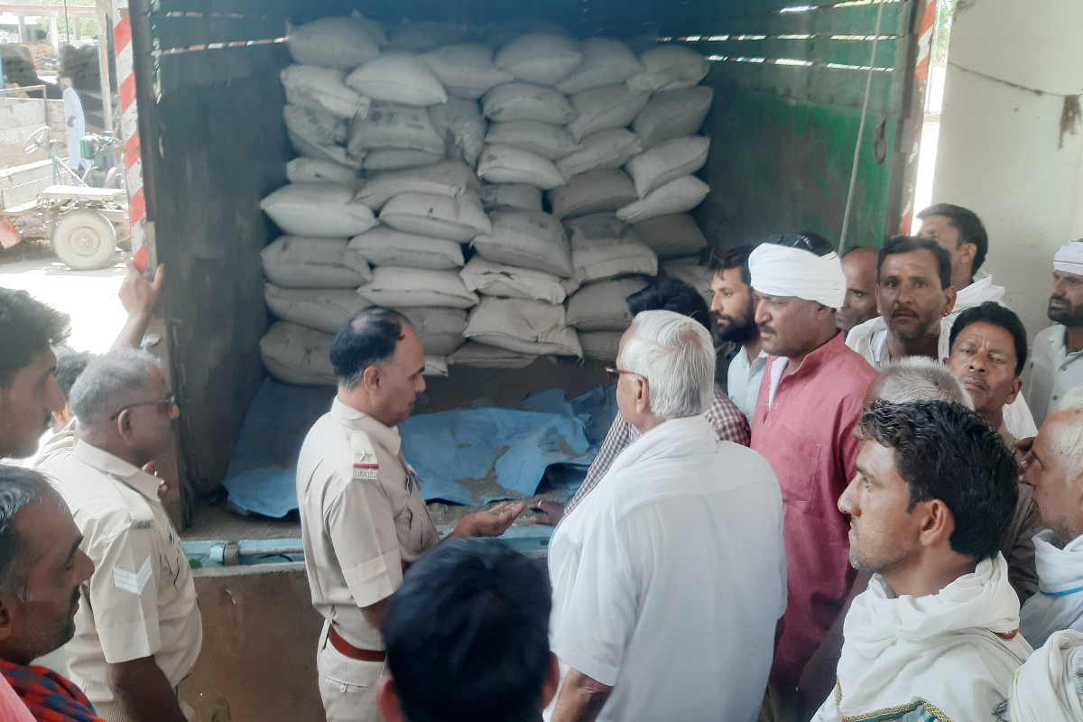 Mandi News: राजस्थान में यहां मंडी में आई नकली सरसों, व्यापारियों में मच गया
हड़कंप - image