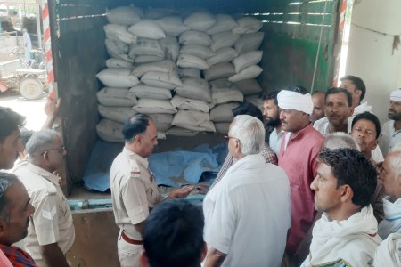 nakli mustard in mandi