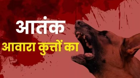 Amroha Dogs Attack: यूपी के अमरोहा में कुत्तों के झुंड ने दो साल की बच्ची पर हमला कर दिया। जब तक मौके पर मां-बाप पहुंचते मासूम की हालत बिगड़ गई। आनन फानन में उसे अस्पताल ले जाया गया। जहां उसे बचाया नहीं जा सका।