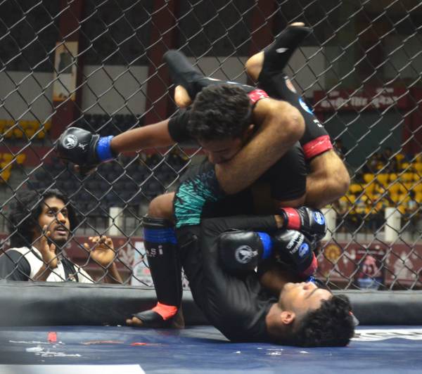 200 matches are being played every day in all three rings.