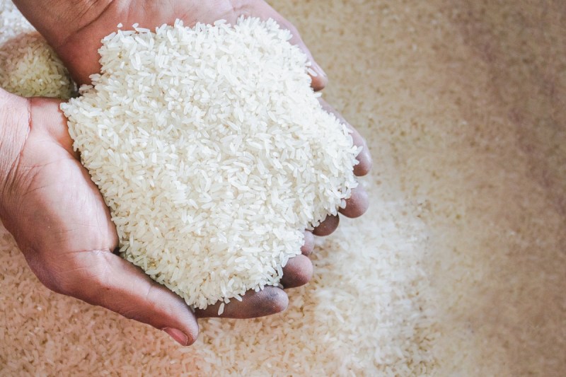 CG Rice