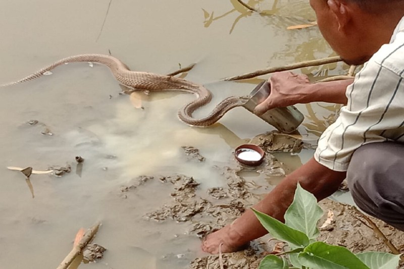 Nag-Nagin Viral Video