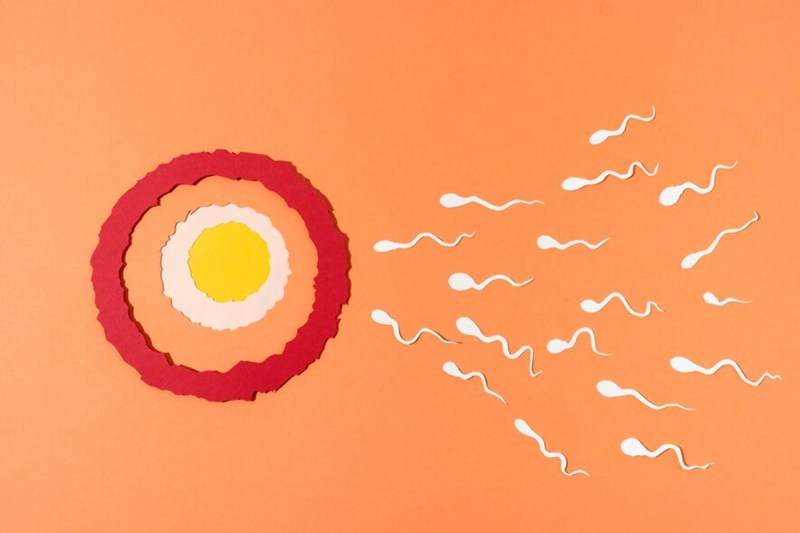 How to increase sperm count :