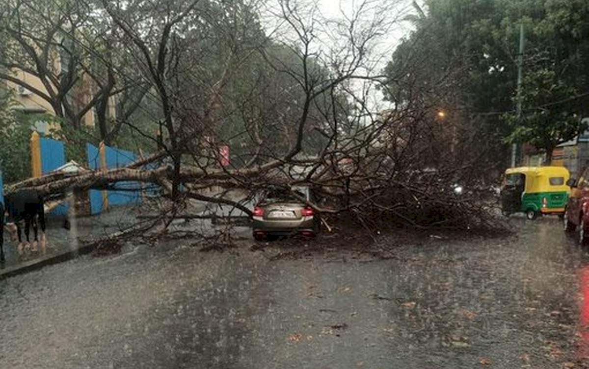 तूफानी हवाएं, ओले सड़कों पर गिरे पेड़ और बेतरतीब जलभराव - image
